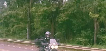 Motociclista em estrada cercada por árvores verdes densas