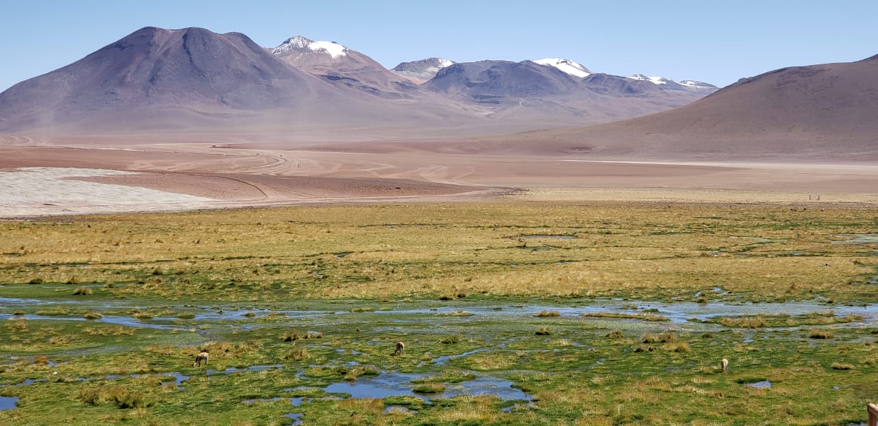 geiser-del-tatio