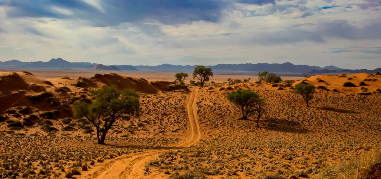 tour_namibia_4x4_motonomads_01