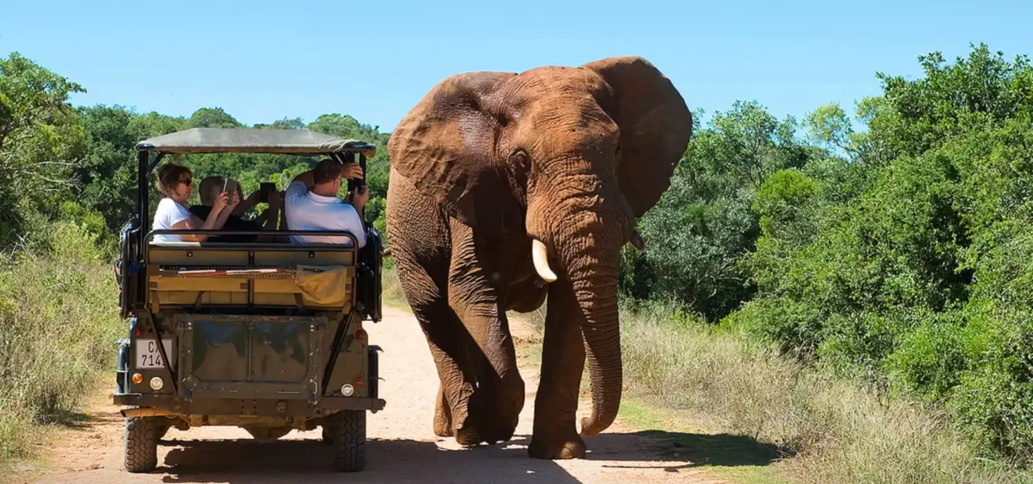 tour_namibia_4x4_motonomads_04