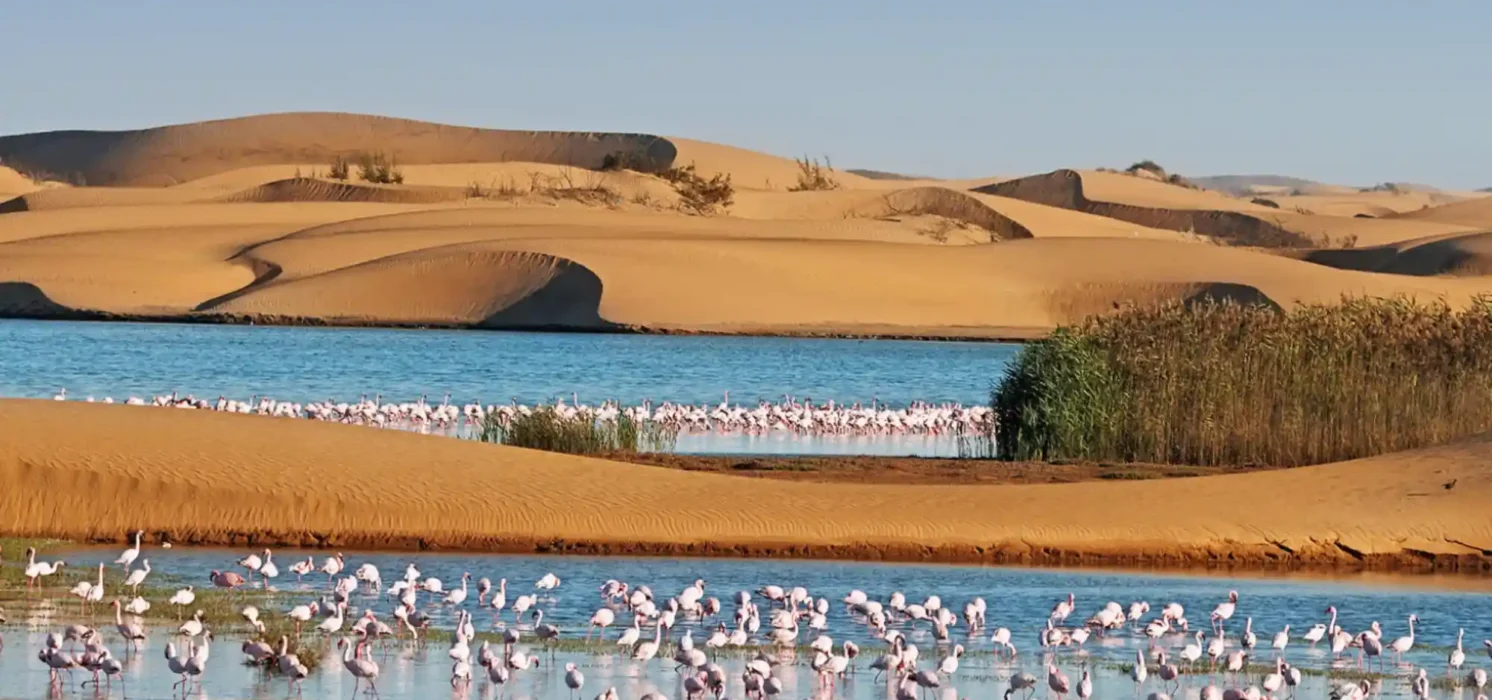 tour_namibia_4x4_motonomads_08
