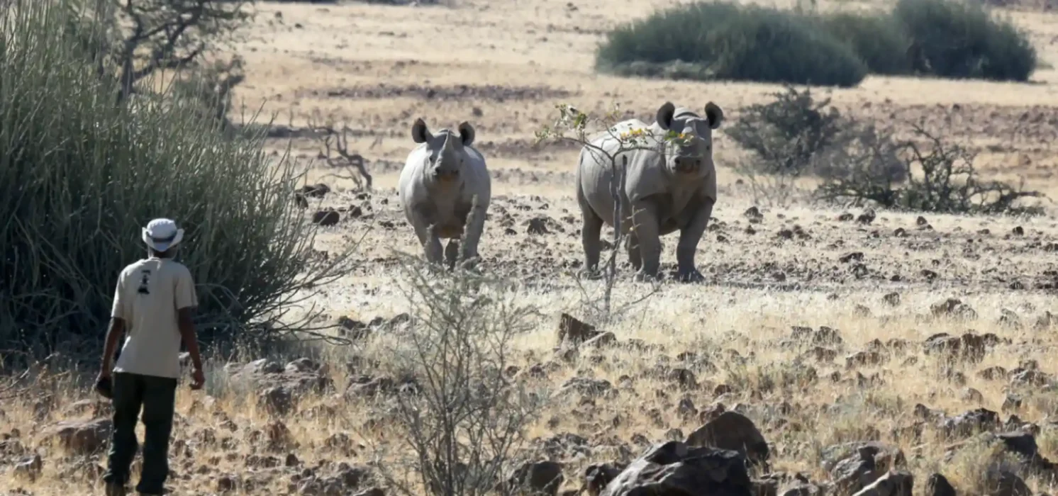 tour_namibia_4x4_motonomads_09